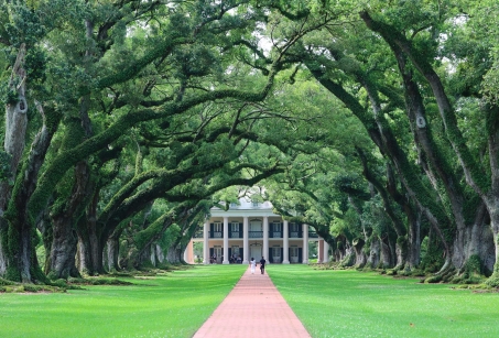 Louisiane Authentique, une épopée en famille
